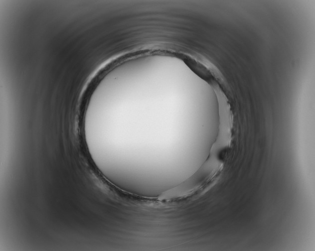 X0000083980880200703091822