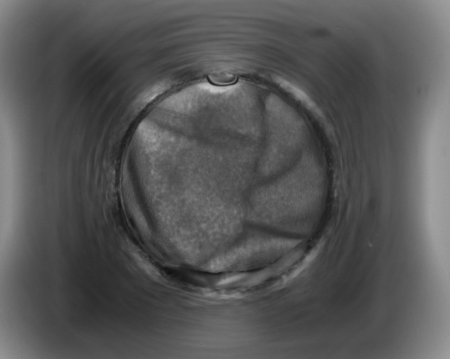 X0000083980881200703091822