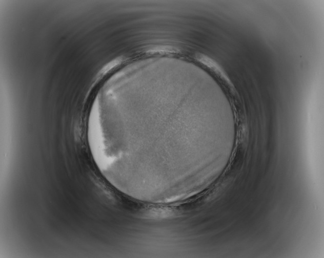 X0000083980882200703091821