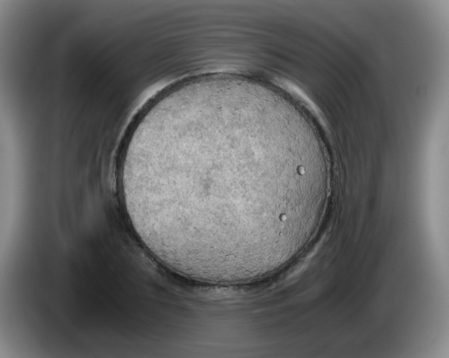 X0000083980883200703091821