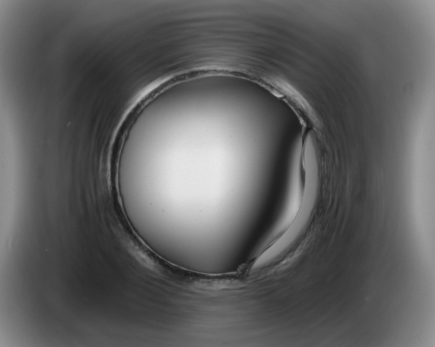 X0000083980884200703091821