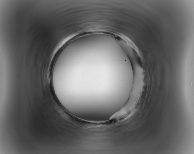 X0000083980885200703091821