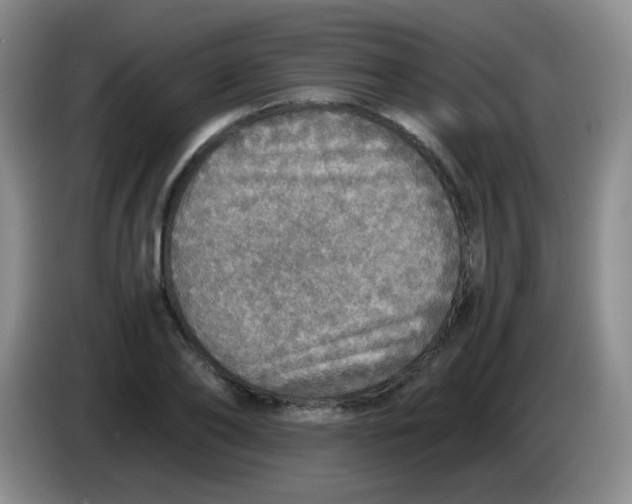 X0000083980886200703091821