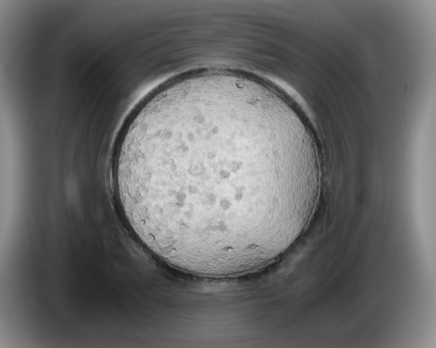 X0000083980887200703091821