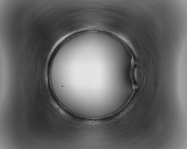 X0000083980888200703091821