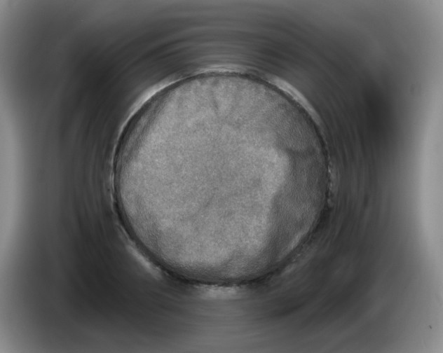 X0000083980890200703091821