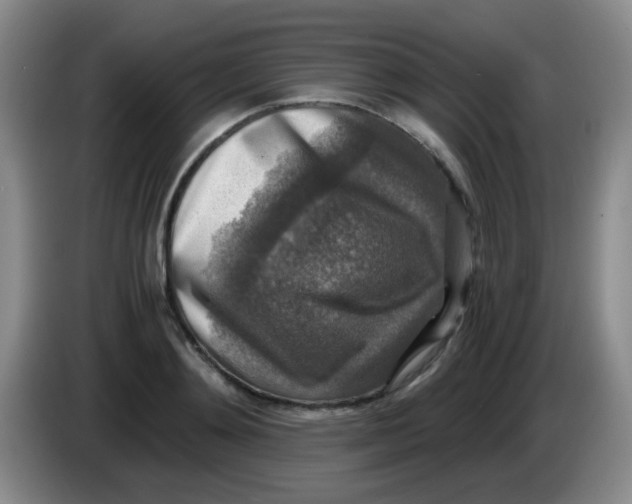 X0000083980892200703091821