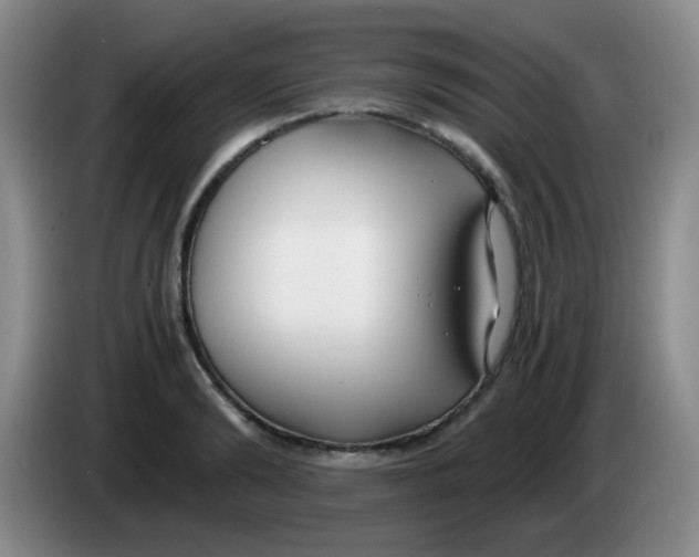 X0000083980894200703091821