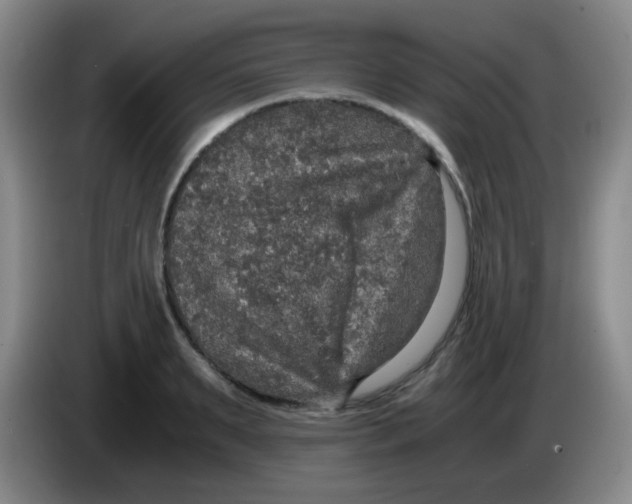 X0000083980895200703091821