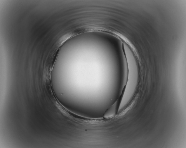 X0000083980897200703091821