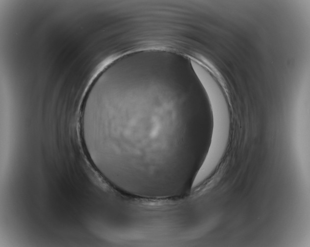 X0000083980899200703091821