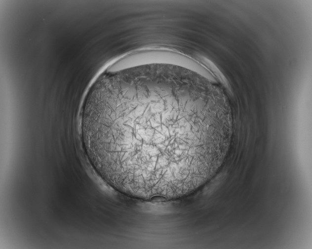 X0000083980900200703091821