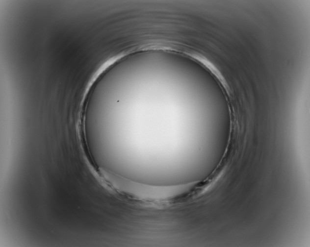 X0000083980901200703091821