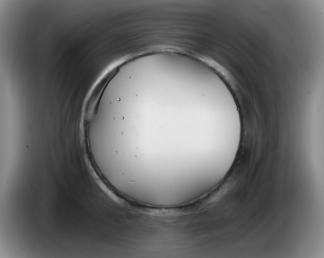 X0000083980902200703091821