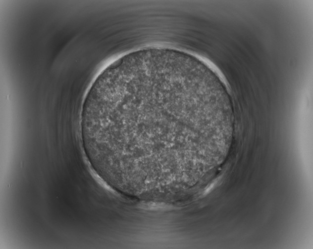 X0000083980903200703091821