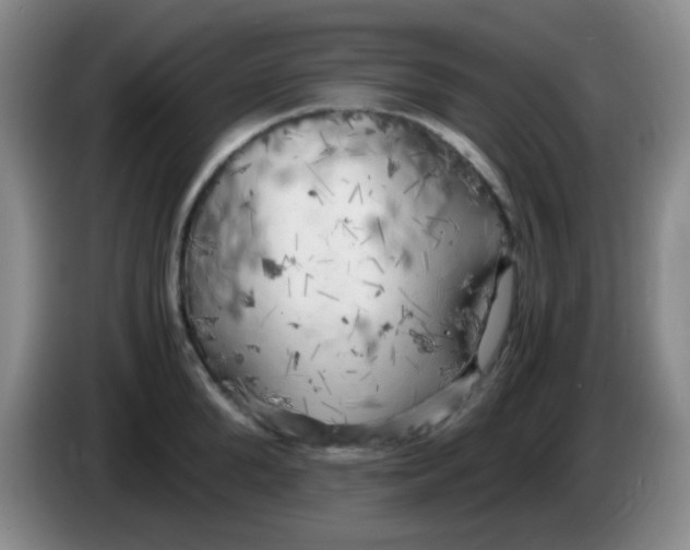 X0000083980904200703091821