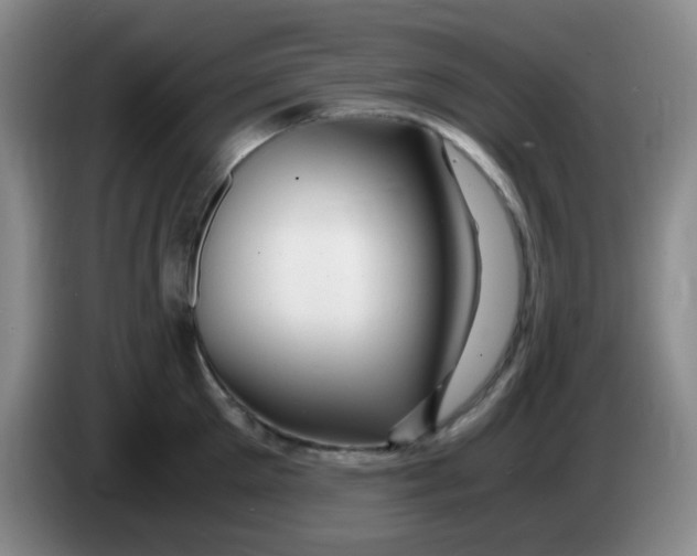 X0000083980905200703091821