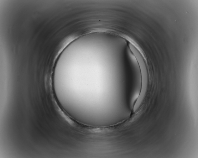 X0000083980906200703091821