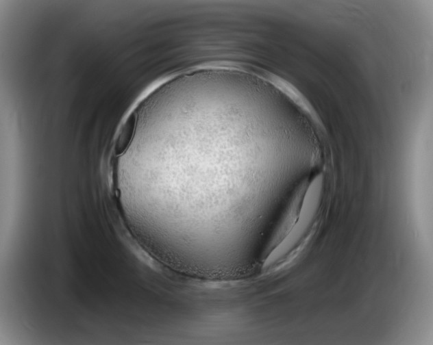 X0000083980908200703091821