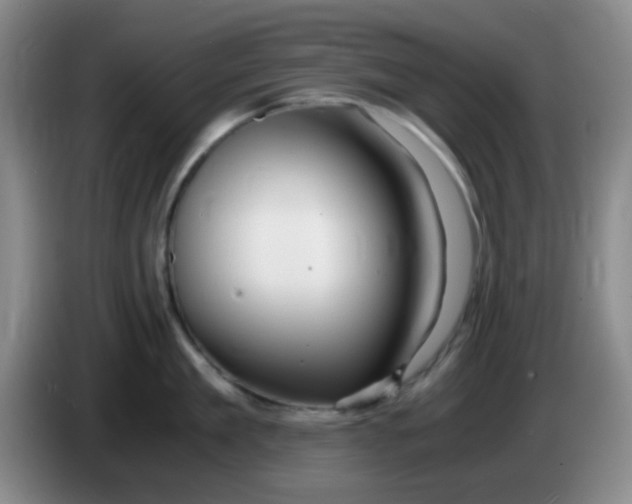 X0000083980909200703091821