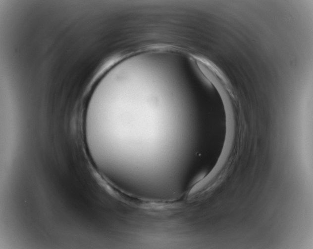 X0000083980910200703091821