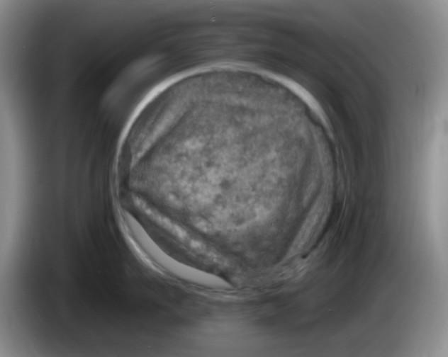 X0000083980911200703091821