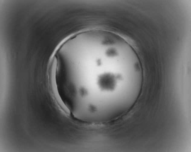 X0000083980912200703091821