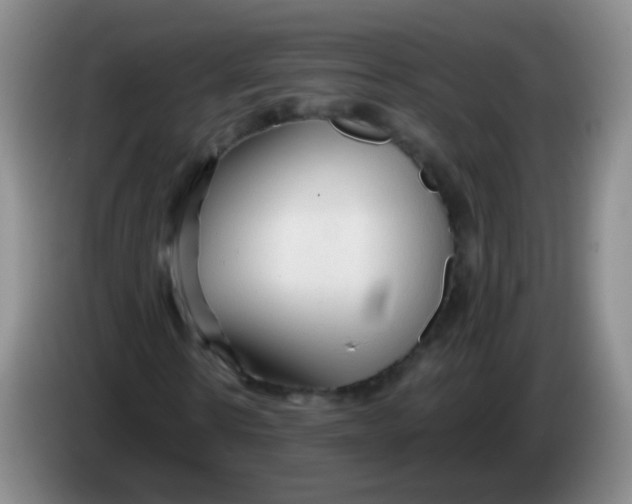 X0000083980914200703091820