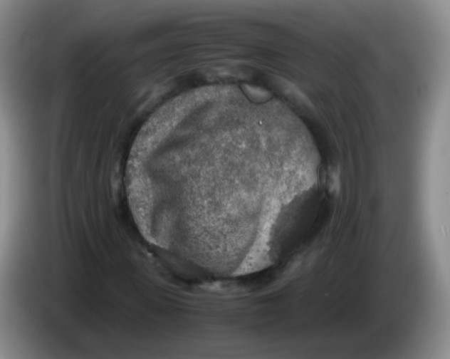 X0000083980915200703091820