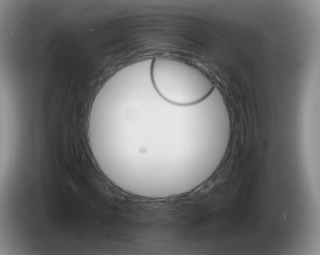 X0000083980916200703091820