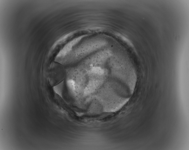 X0000083980920200703091820