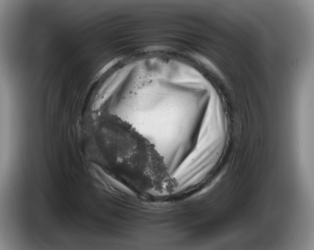 X0000083980921200703091820