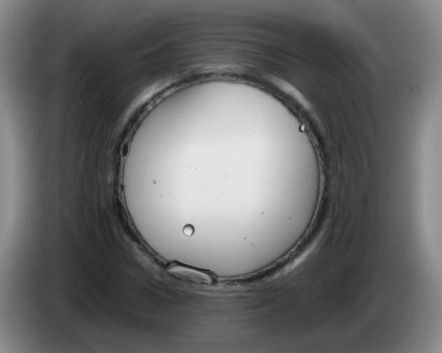 X0000083980922200703091820