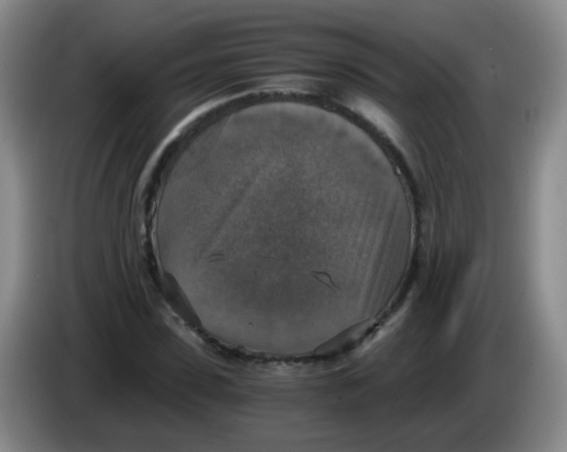 X0000083980923200703091820