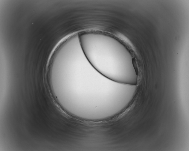 X0000083980924200703091820