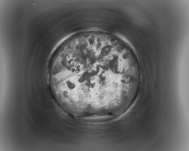 X0000083980925200703091820