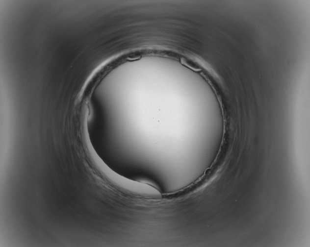 X0000083980926200703091821