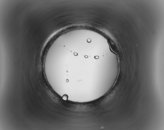 X0000083980927200703091821