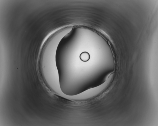 X0000083980928200703091821