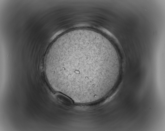 X0000083980929200703091821