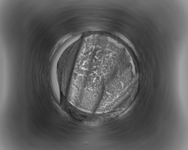 X0000083980930200703091821