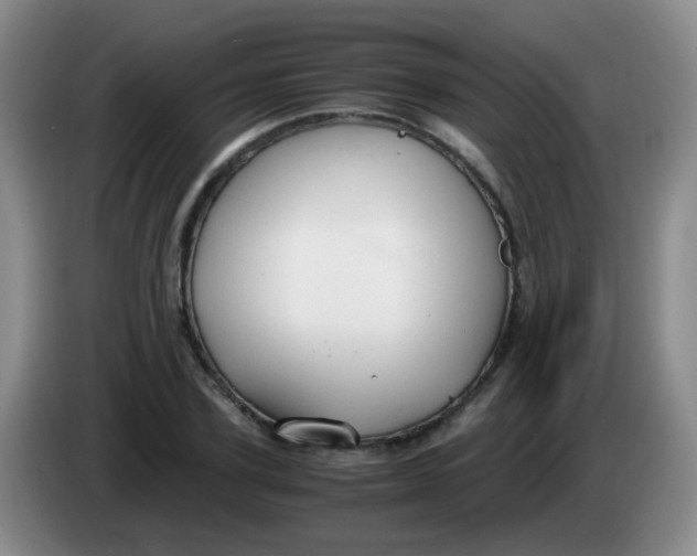 X0000083980931200703091821