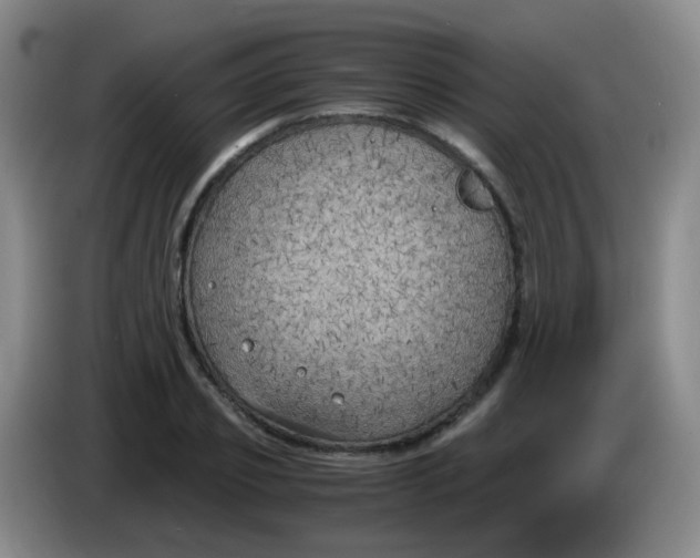 X0000083980933200703091821