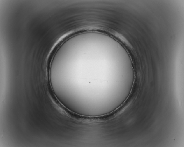 X0000083980934200703091821