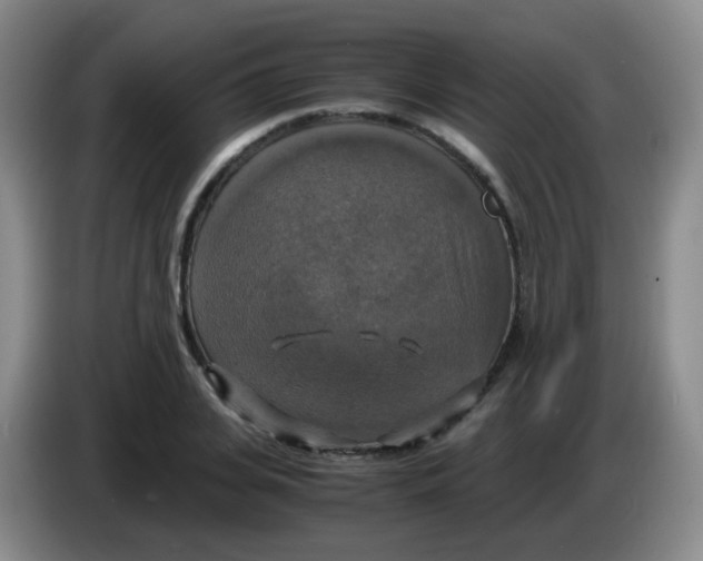 X0000083980935200703091821