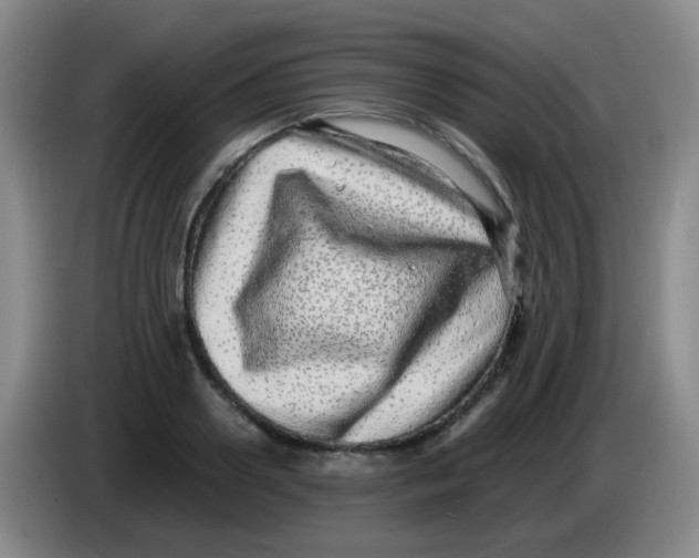 X0000083980938200703091821