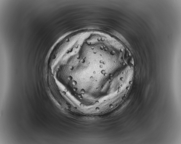 X0000083980939200703091821