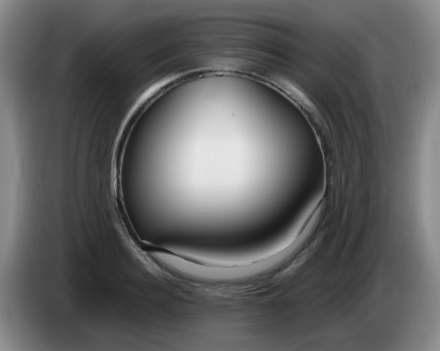 X0000083980940200703091821