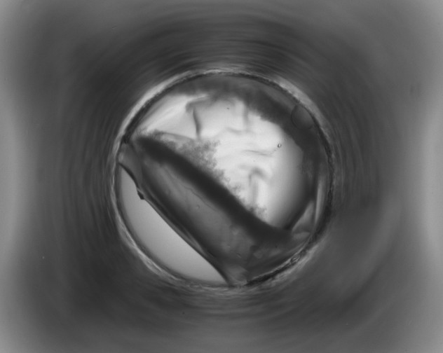 X0000083980941200703091821