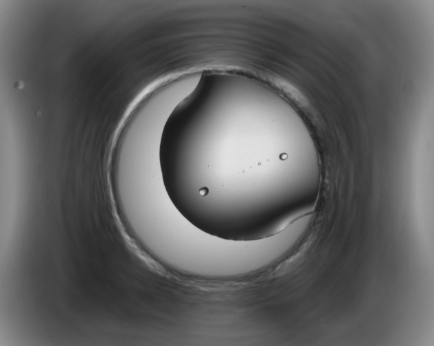 X0000083980942200703091821